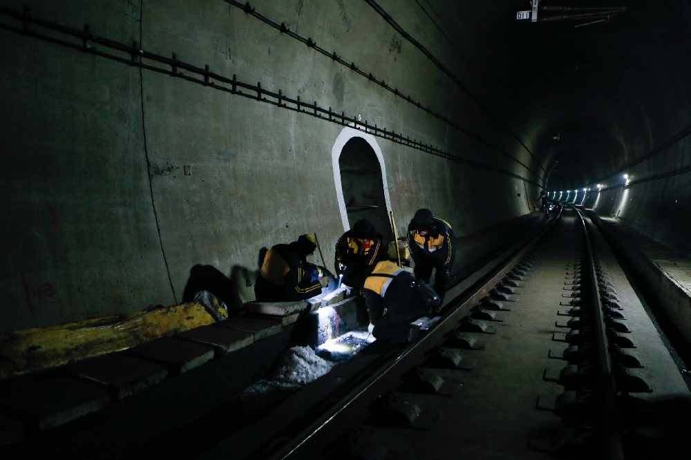 嘉陵铁路运营隧道病害现状